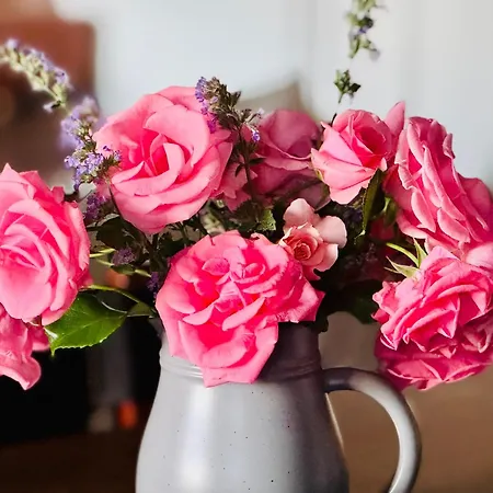 Résidence La Rose Du Le Ours, 2 Idyll Am *